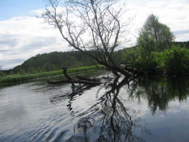 Klicka hr fr att se bilden i fullstorlek